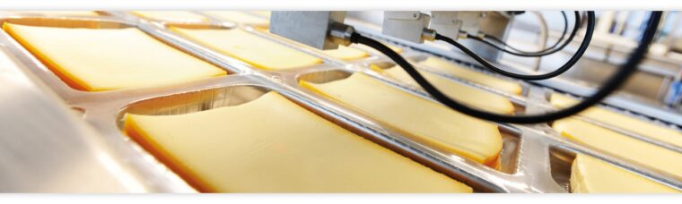 Havarti<br/> cheese slices