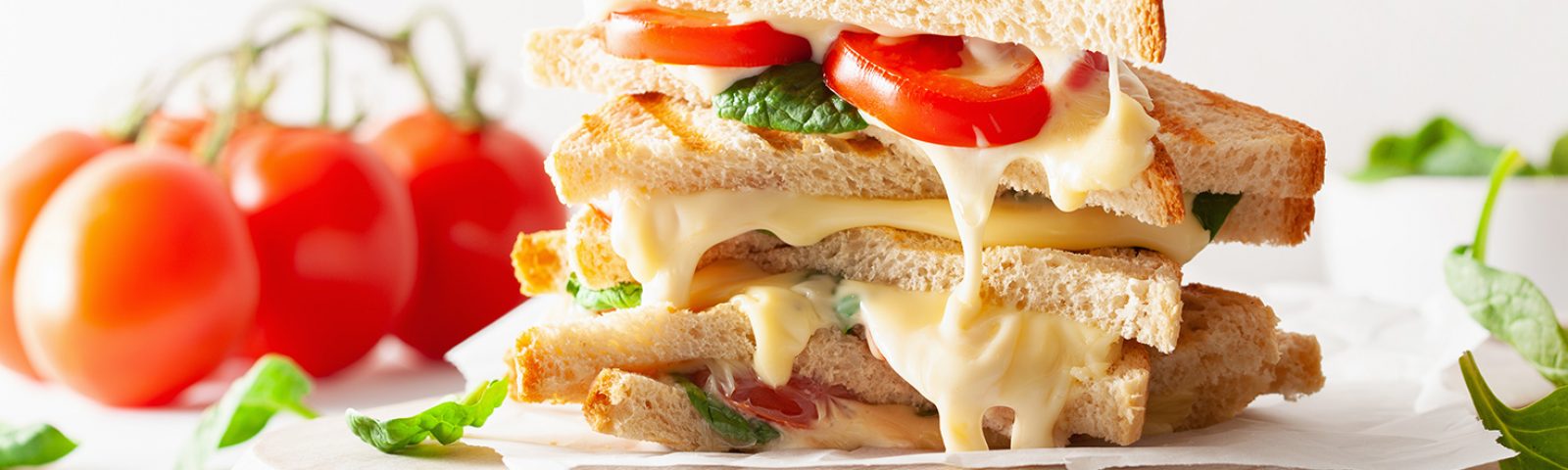 Mozzarella<br/> cheese slices