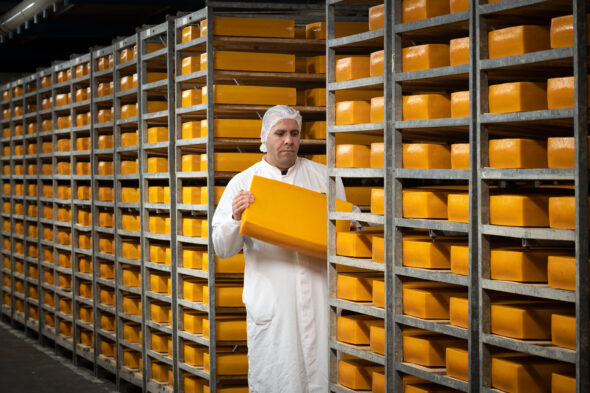 When we say cheese we say welcome - Vepo Cheese