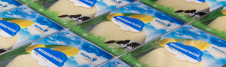 Cheese with herbs slices
