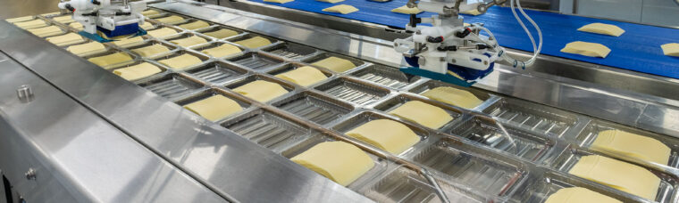 Cheese slices 30% f.i.d.m.