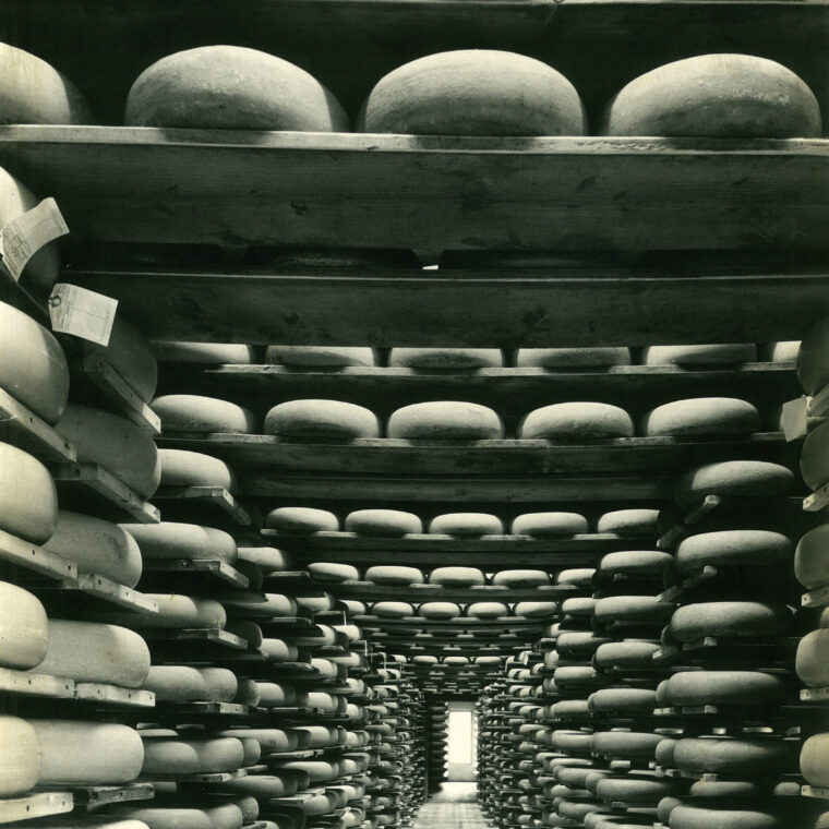 100 years cheese<br />100 years Dutch<br />100 years family