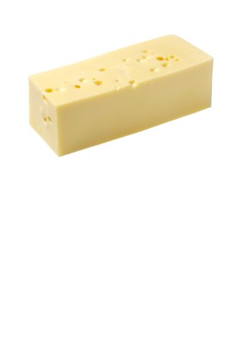 Maasdam