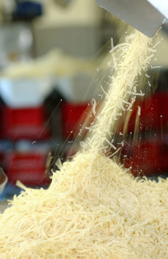 When we say cheese we say welcome - Vepo Cheese